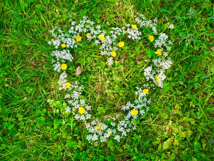 Hei yritys, täällä&nbsp;Minna