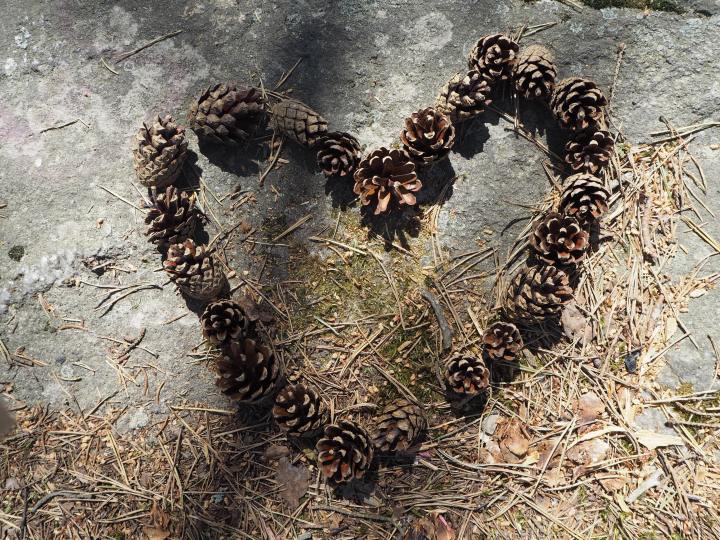 Sirpaleista tarinaa, kiitos&nbsp;Fonum!