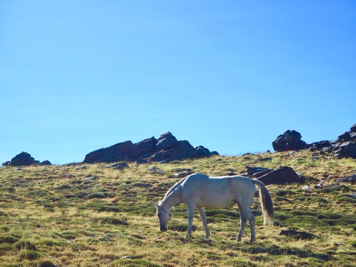 Mulhacen_2019_blog_MinnaLinna